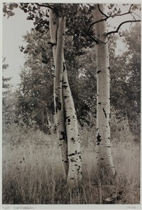 Image description is not available for 2009.086